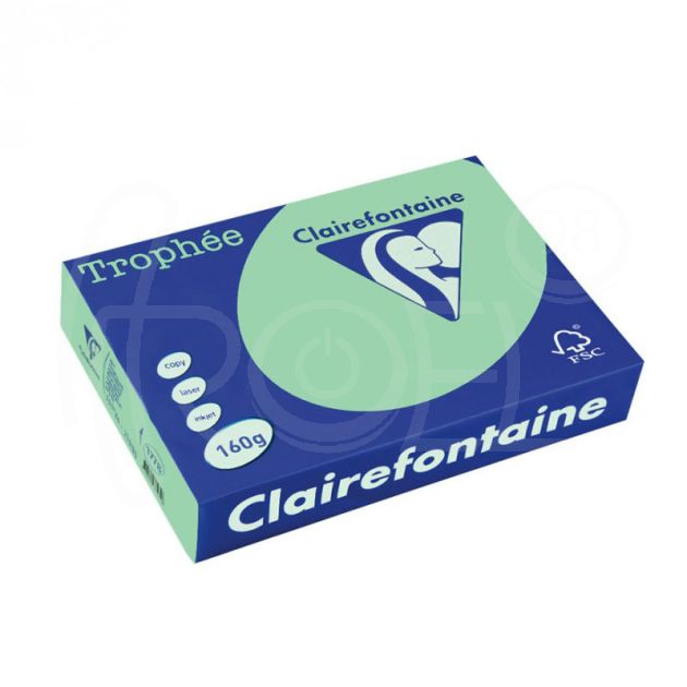 Картон цветен Clairefontaine, пастел Nature Green A4, 160 гр./м2, 50 листа main product photo