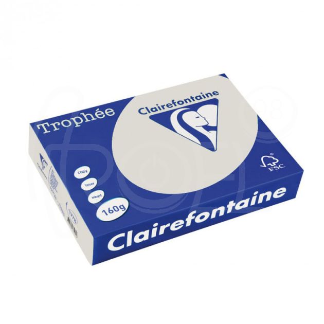 Копирна хартия цветна Clairefontaine, пастел, Pearl Grey, A3, 80 гр./м2, 100 листа main product photo