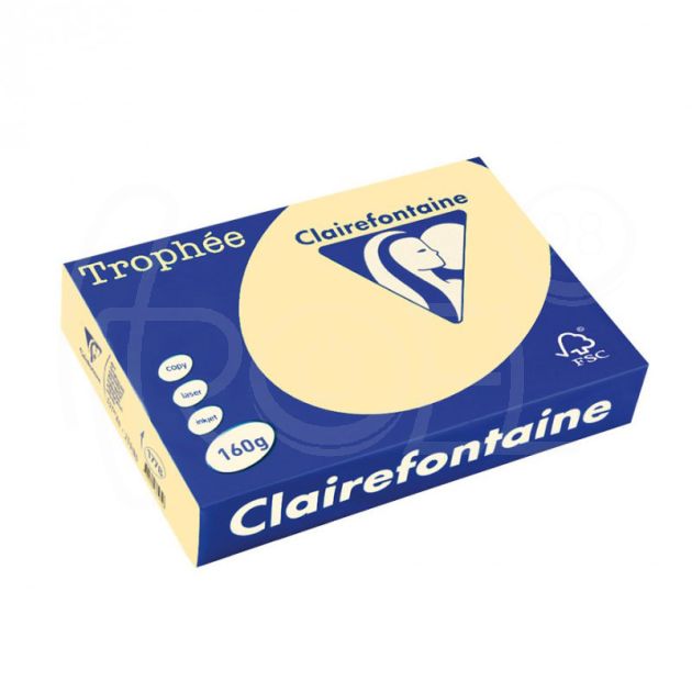 Копирна хартия цветна Clairefontaine, пастел, Chamois, A4, 80 гр./м2, 500 листа main product photo
