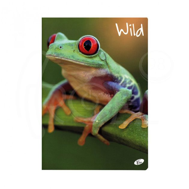 Тетрадка A5 UV Wild, 60+2 л. ред, 70 гр. / м2 main product photo