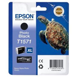 Маст.глава Epson T1571 Photo Black for Epson Stylus Photo R3000 - C13T15714010